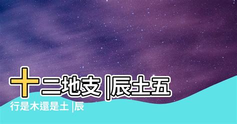 屬土需要什麼|【屬性土】屬土者的性格、運勢與應注意事項，一文瞭解你該知道。